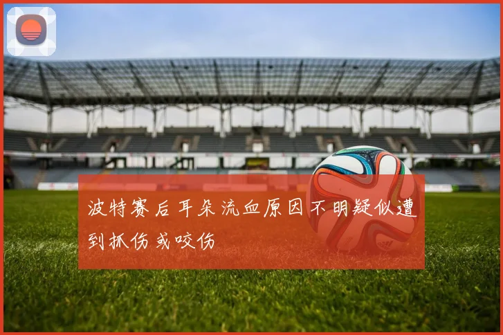 波特赛后耳朵流血原因不明疑似遭到抓伤或咬伤