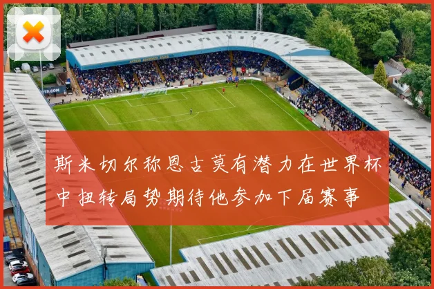 斯米切尔称恩古莫有潜力在世界杯中扭转局势期待他参加下届赛事
